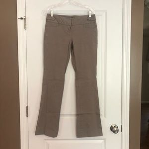 The Limited Exact Stretch Bootcut Pants
